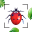 Bug Identifier Insect Finder 1.1.1