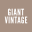 Giant Vintage 5.5