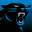 Carolina Panthers Mobile 24.4.1796