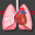 STS Cardiothoracic Surgery 1.4