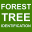 Forest Tree Identification 8.1.2