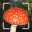 Mushroom Identification. 1.6.2