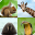 Animal Quiz: Guess the Animal 1.0.82