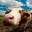 Farm Animal Sounds & Noises 2.5