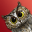 Rotate the Owl 1.0.2