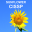 Sunflower CISSP 1.0