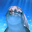 Tap Dolphin -simulation game-