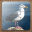 Bird Puzzle Games 2.31