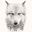 Wolf Backgrounds HD 1.9