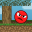 Ball Pixel Craft 1.0.0