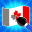 Flag Painting Puzzle Game