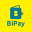 BiPay 1.3.8