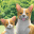 Pocket Pet 1.1.0