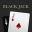 Blackjack Fun Fun 1.0.6