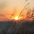 Sunrise Wallpaper 2.0