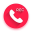 Call Recorder Original 8.88