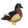 Wood Duck Simulator 2.32