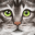 Ultimate Cat Simulator 3.0