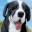 Dog Simulator : Puppy Pet Farm 1.0.4