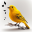 Bird Calls, Sounds & Ringtones 14.0.2