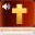 Biblia Reina Valera (Audio) 1.1.9