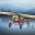 Airplane Fly Bush Pilot 1.1