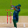 Real World Cricket Games 2.6