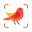 Picture Bird - Bird Identifier 2.9.25