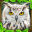 Owl Simulator 1.2