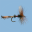 Fly Fishing Simulator 1067