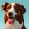 Doggo Booth - AI Dog Avatars