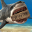 Shark Land: Survival Simulator 10.1.7