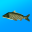 True Fishing. Simulator 1.16.3.811