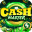 Cash Master - Carnival Prizes