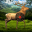 Deer Target Shooting 3.0.0