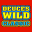 Deuces Wild Casino Video Poker