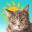 Sunkitty 3.2.3