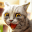 Cat Simulator: Family Animal 1.1.5