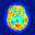 Neurosurgery: What's the data?