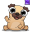 Pug - My Virtual Pet Dog