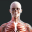 Human Anatomy 4D-Mixed Reality