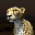 Virtual Cheetah 1.04