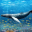 Blue Whale Survival Challenge 1.3