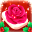 Mahjong Flower Frenzy _Tile 3D