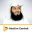 Mufti Menk Official 5.1.1