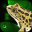 Frog Dissection 2.2.3