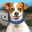 Animal Shelter Simulator 1.368