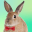 Adopt A Rabbit : Virtual Pet 1.4.3