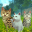 Kitty Cat Simulator 1.1.5