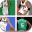 Guess The BasketBall Stars 1.1